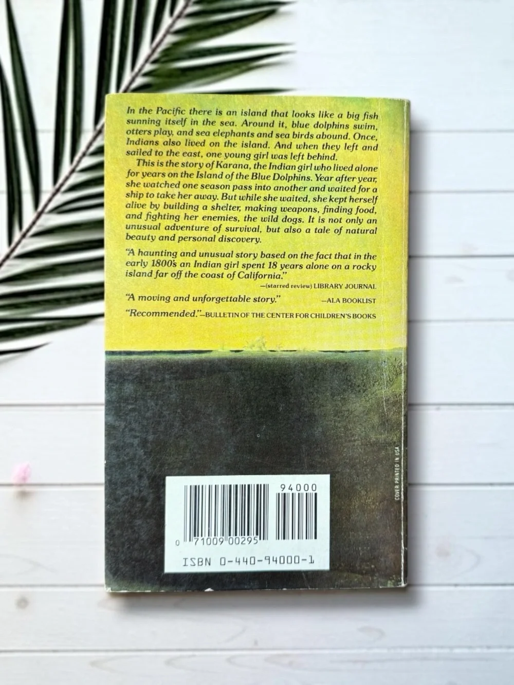 Vintage Island of the Blue Dolphins by Scott O’Dell 1978 Paperback Classic